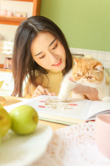 机智的上半场